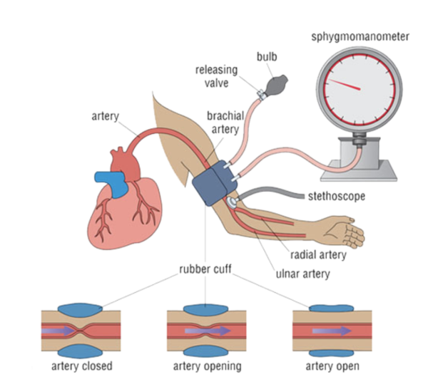 Blood pressure
