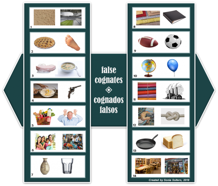 False cognates chart